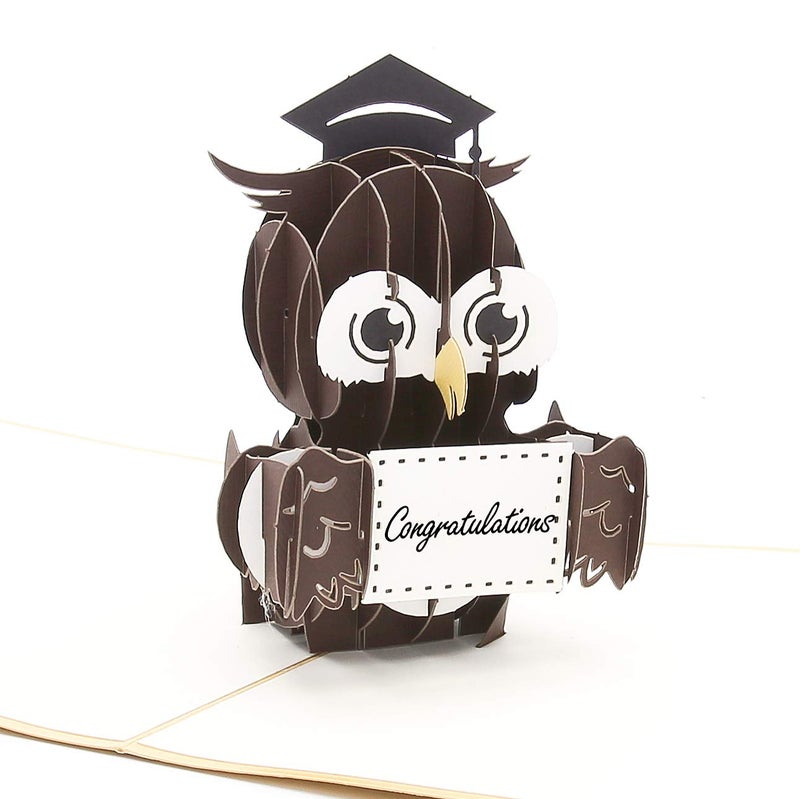 Liif Graduation Owl 2024 3D Pop Up Graduation Card, Class of 2024 - Image 1